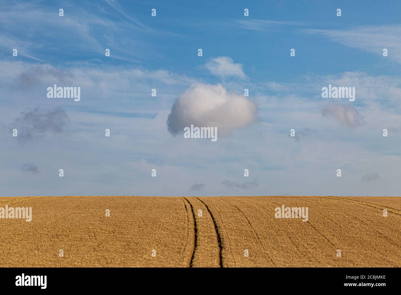 Blue sky and clouds over farmland in Sussex on a sunny summers day ...