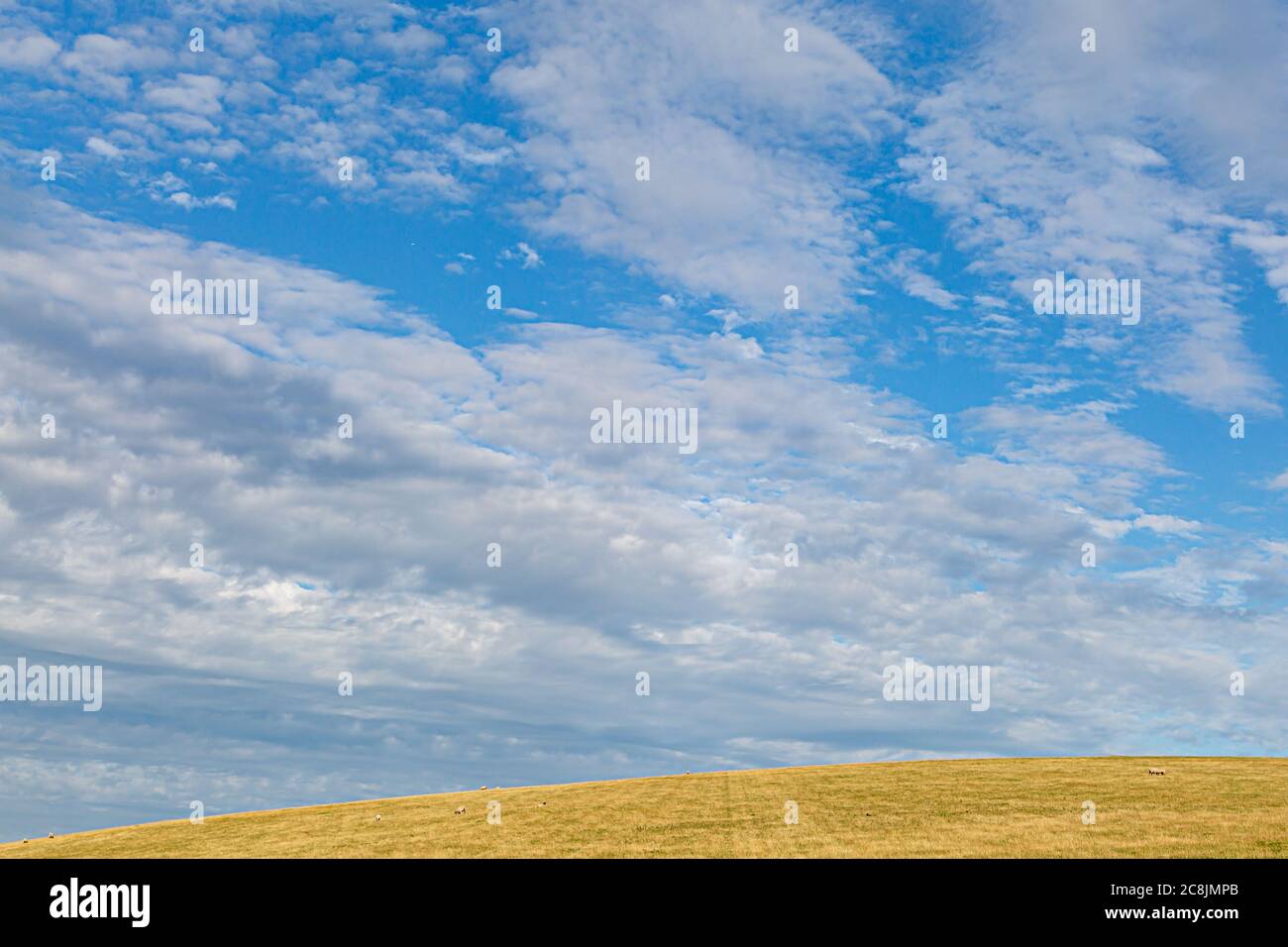 A Sussex landscape on a sunny summers day Stock Photo - Alamy