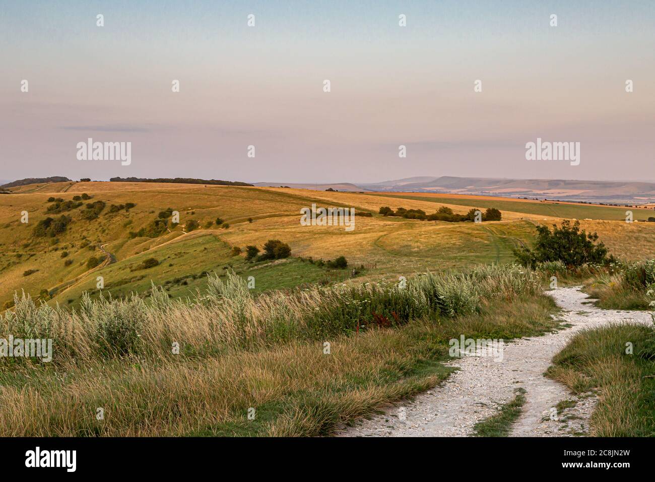 A chalk pathway along the South Downs Way in Sussex, at Ditchling Beacon Stock Photo Alamy