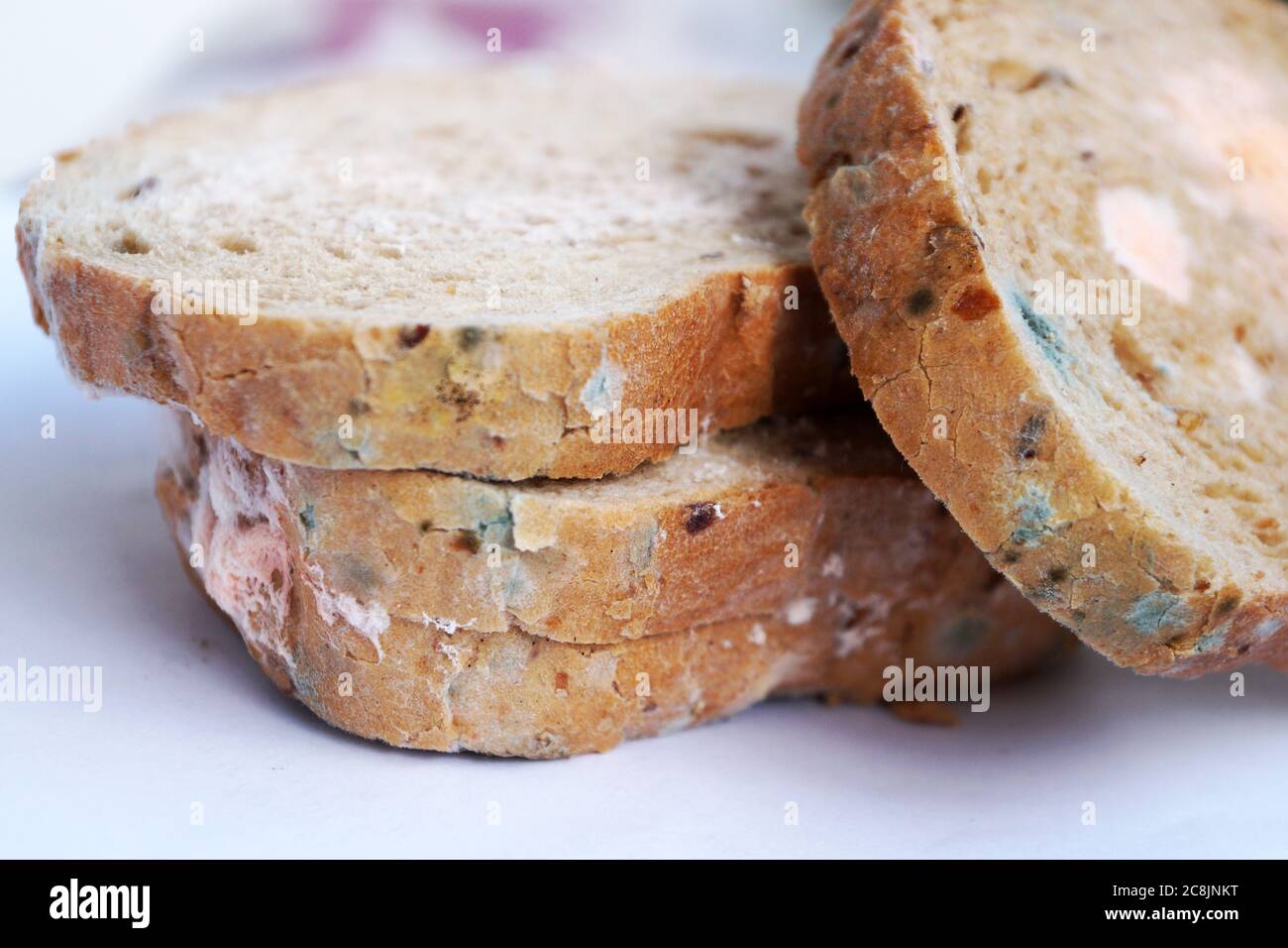 Pink mold on bread hires stock photography and images Alamy
