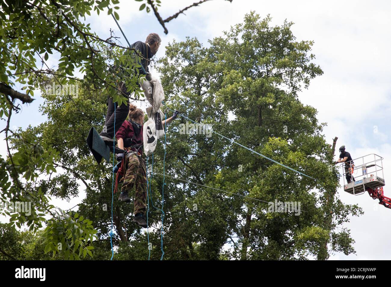 Denham, UK. 24 July, 2020. Larch (l) and Swan (r), environmental activists from HS2 Rebellion, try to communicate regarding safety with a tree surgeon working close to their line above the shallow river Colne attached to an ancient alder tree which they were trying to protect from destruction in connection with works for the HS2 high-speed rail link in Denham Country Park. 2020 is the Year of the Tree. Credit: Mark Kerrison/Alamy Live News Stock Photo