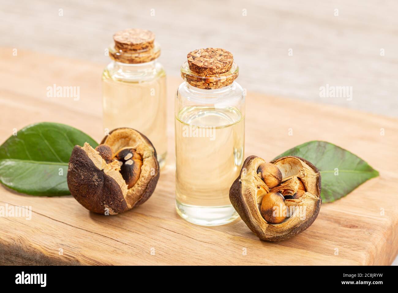 Camellia essential oil bottle and camellia seeds on wooden table. Beauty, skin care, wellness Stock Photo