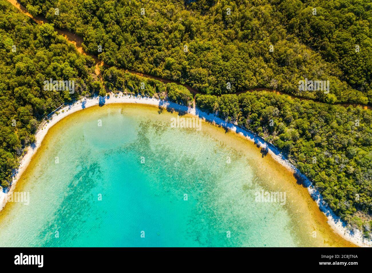 Aerial overhead view of beautiful lagoon on Adriatic sea in Croatia, Dugi Otok island. Pine woods, long hidden beaches and emerald sea surface Stock Photo