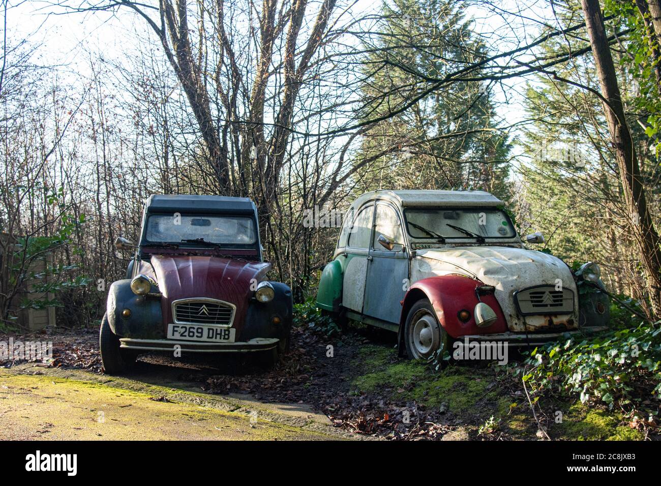 Two battered Citroen 2CVs stand side by side on the edge of a wood by a country lane Stock Photo