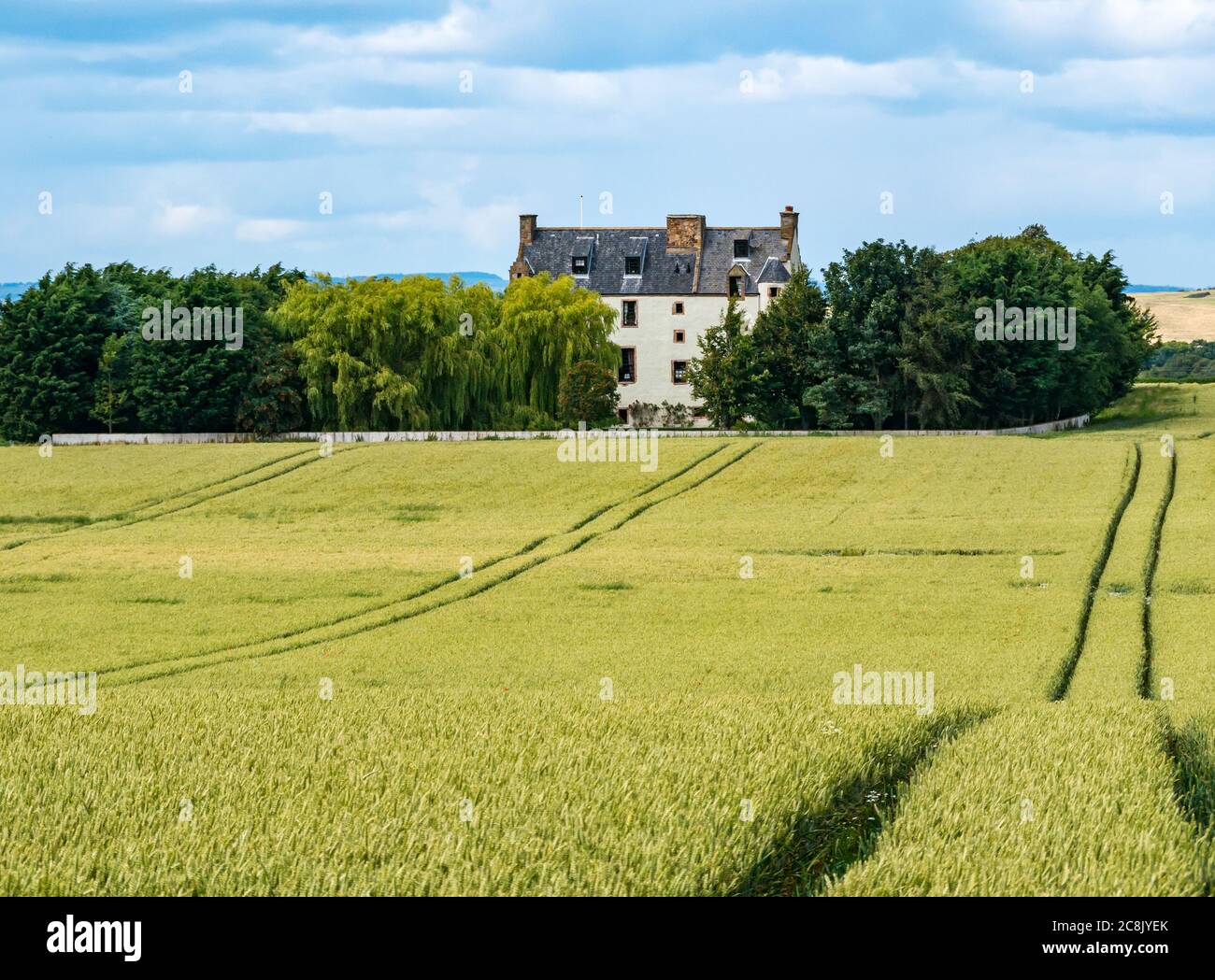 Ballencrieff Scots baronial style fortified house in wheat crop field in Summer agricultural landscape, East Lothian, Scotland, UK Stock Photo
