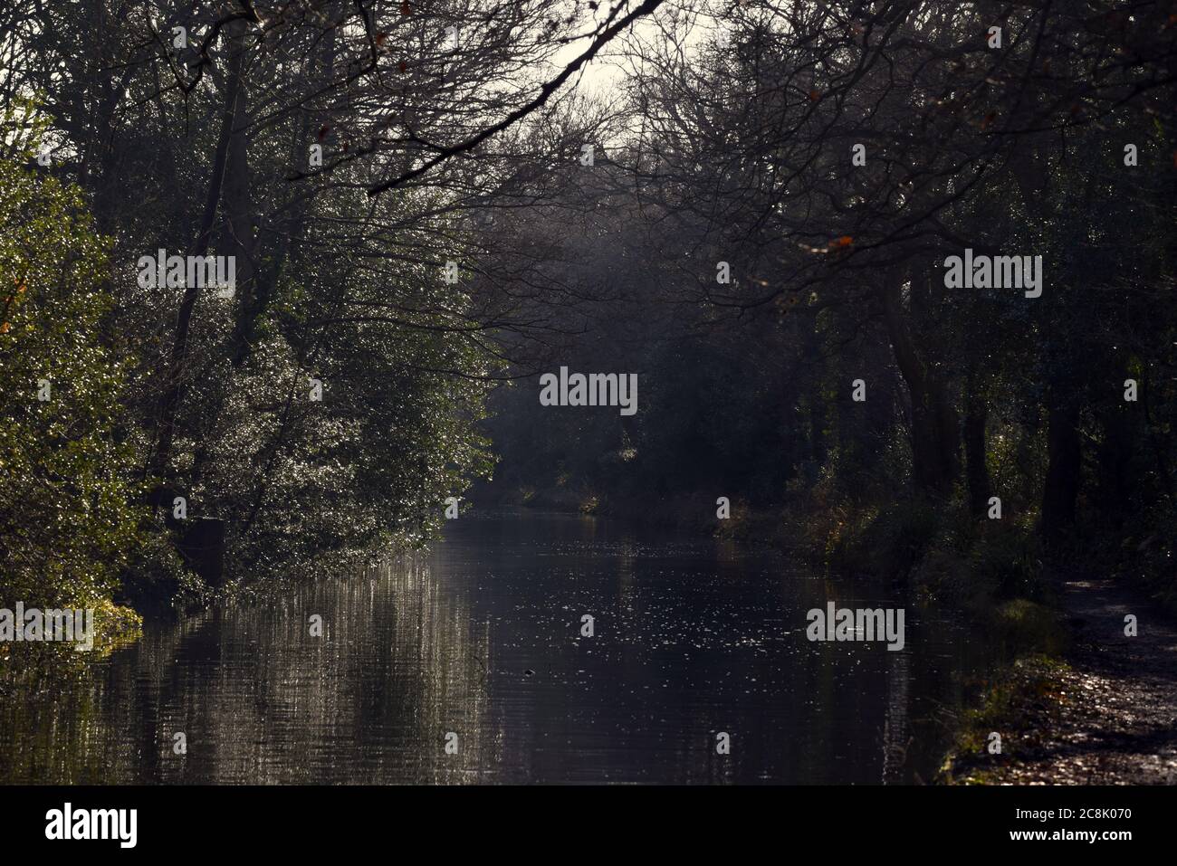 Sunlight filters through trees along the beautiful Basingstoke Canal in Surrey on a chilly winter day Stock Photo