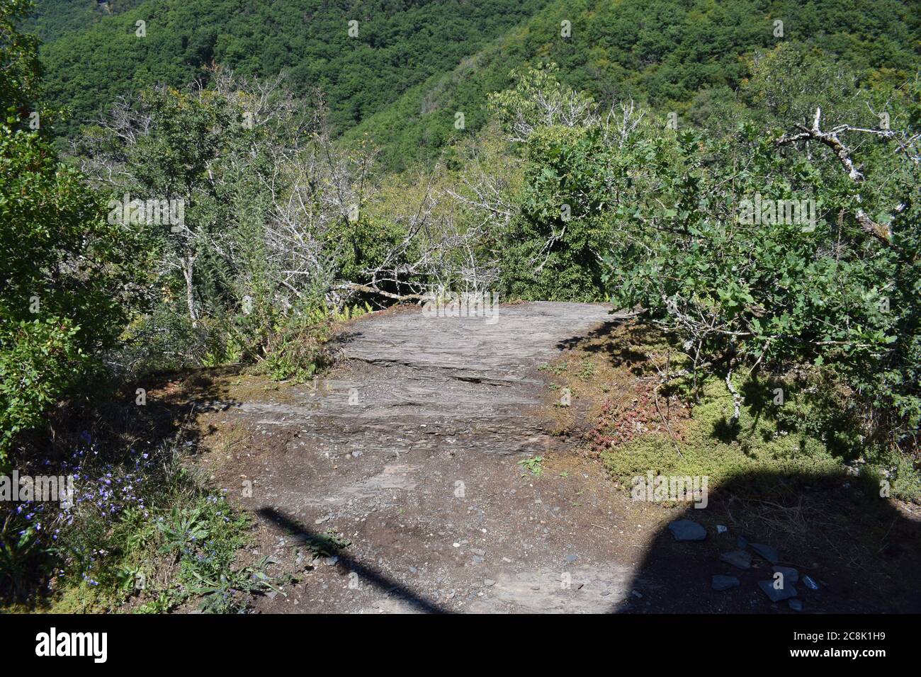 ruin of the Entersburg Stock Photo