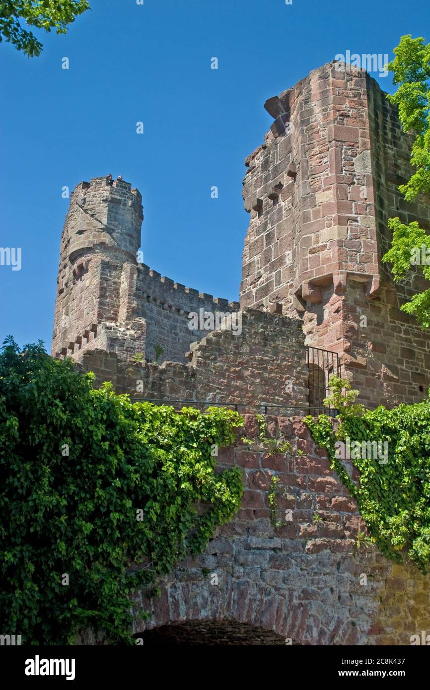 Ruin of the Castle Dilsberg in Neckargemuend in southern Germany Stock Photo