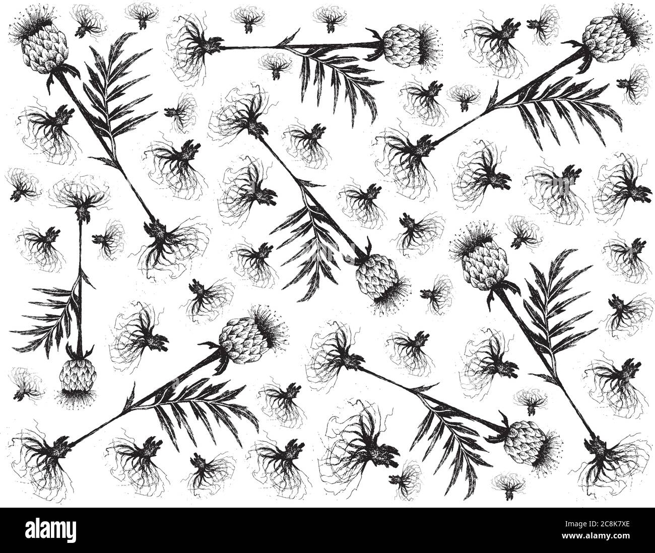 Herbal Flower and Plant, Hand Drawn Background of Rhaponticum Carthamoides or Maral Root Plant, Used in Alternative and Folk Medicine. Stock Vector