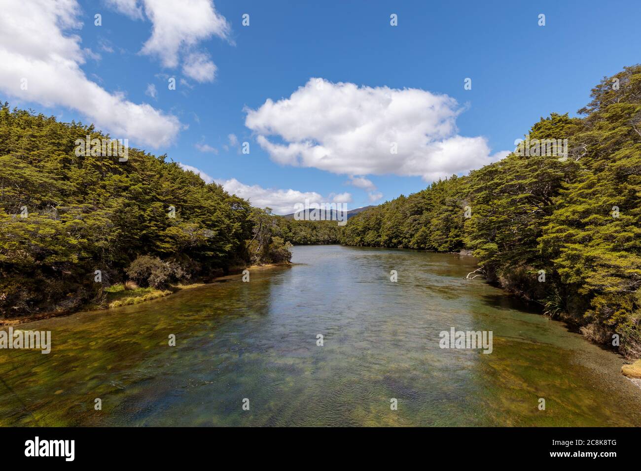 Mavora River at the point it drains out of the South Mavora Lake with forests lining each side. Stock Photo