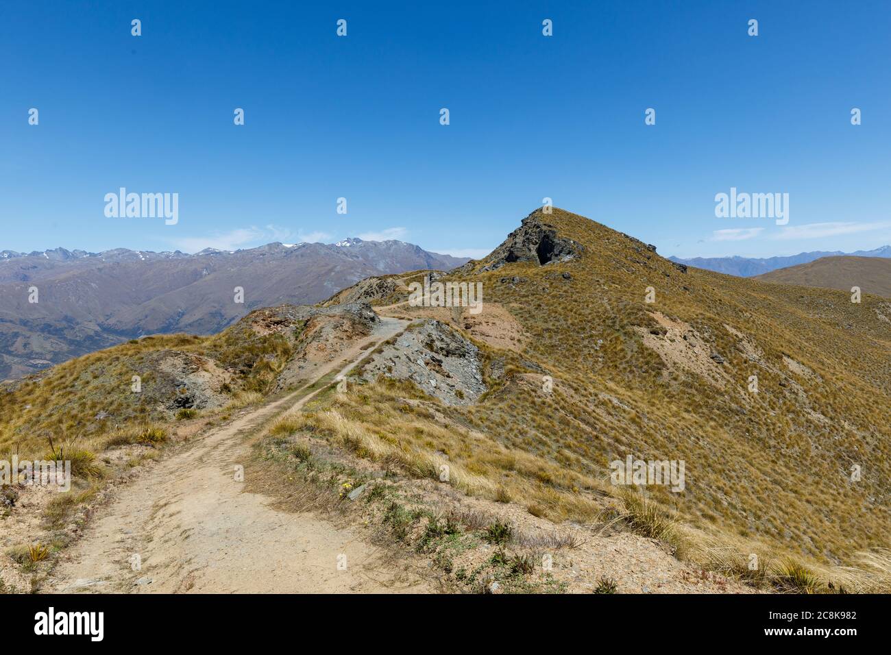 The summit of the Pisa Conservation Area track at Mount Rock Peak Stock Photo