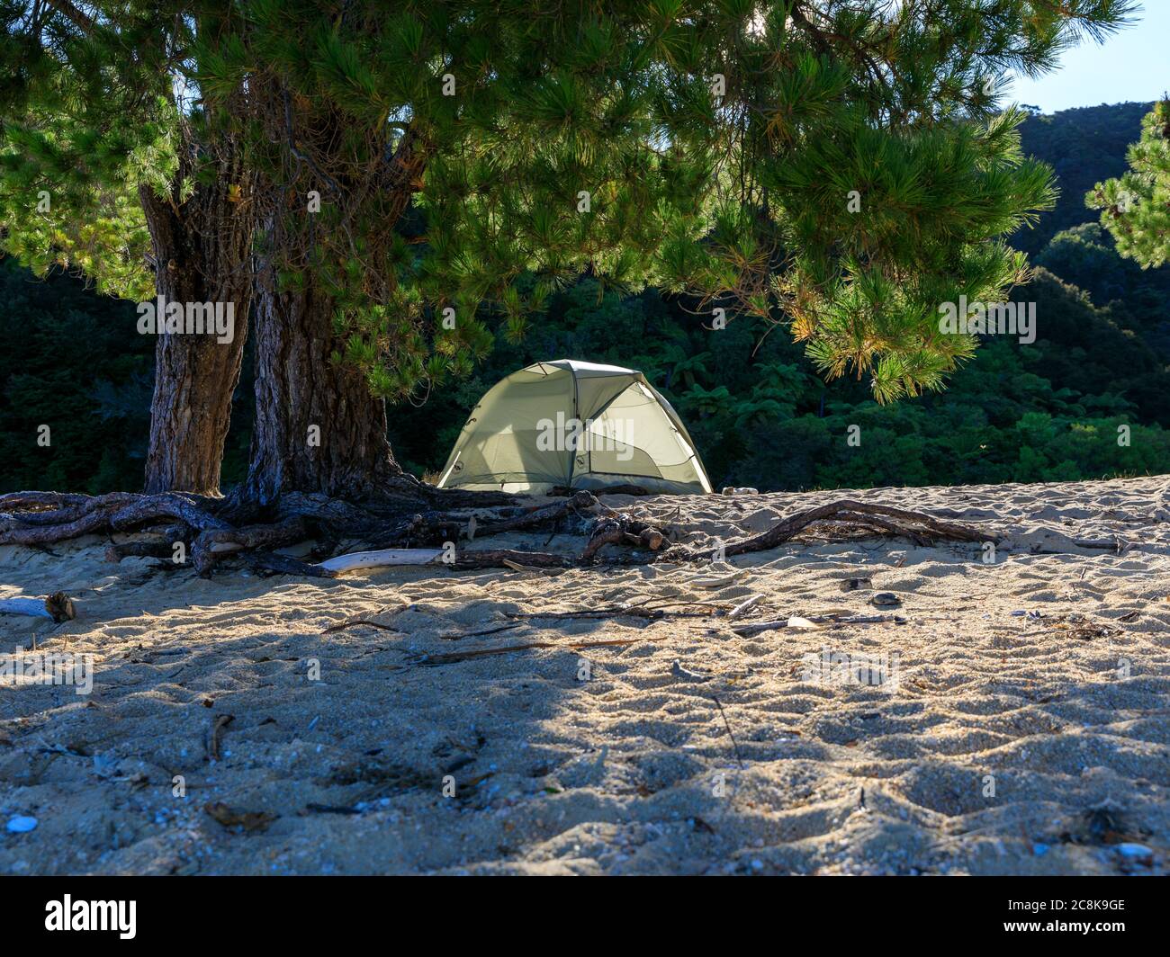 A tent for wild camping on Apple Tree Bay beach surrounded by trees. Abel Tasman National Park, South Island, New Zealand. Stock Photo