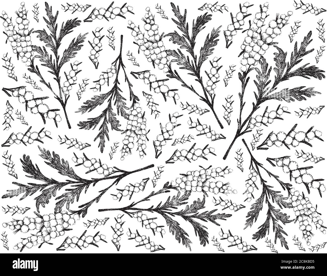 Herbal Flower and Plant, Hand Drawn Background of Artemisia Absinthium or Wormwood Plants with Yellow Flowers Used As A Fragrance and Traditional Medi Stock Vector