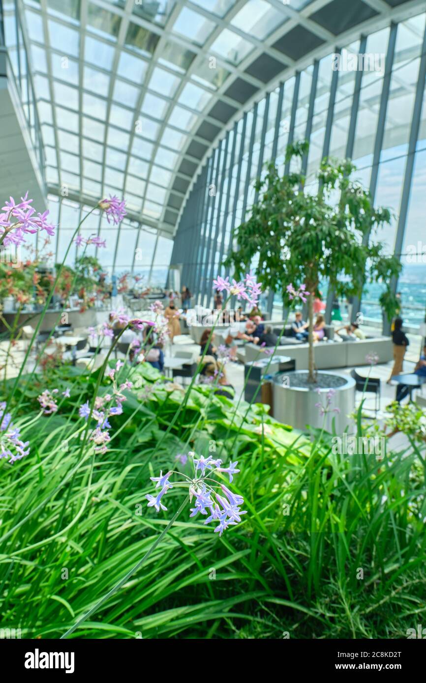 The Sky Garden at 20 Fenchurch Street, a public space designed by Rafael Vinoly Architects featuring a stylish restaurant, brasserie and cocktail bar. Stock Photo