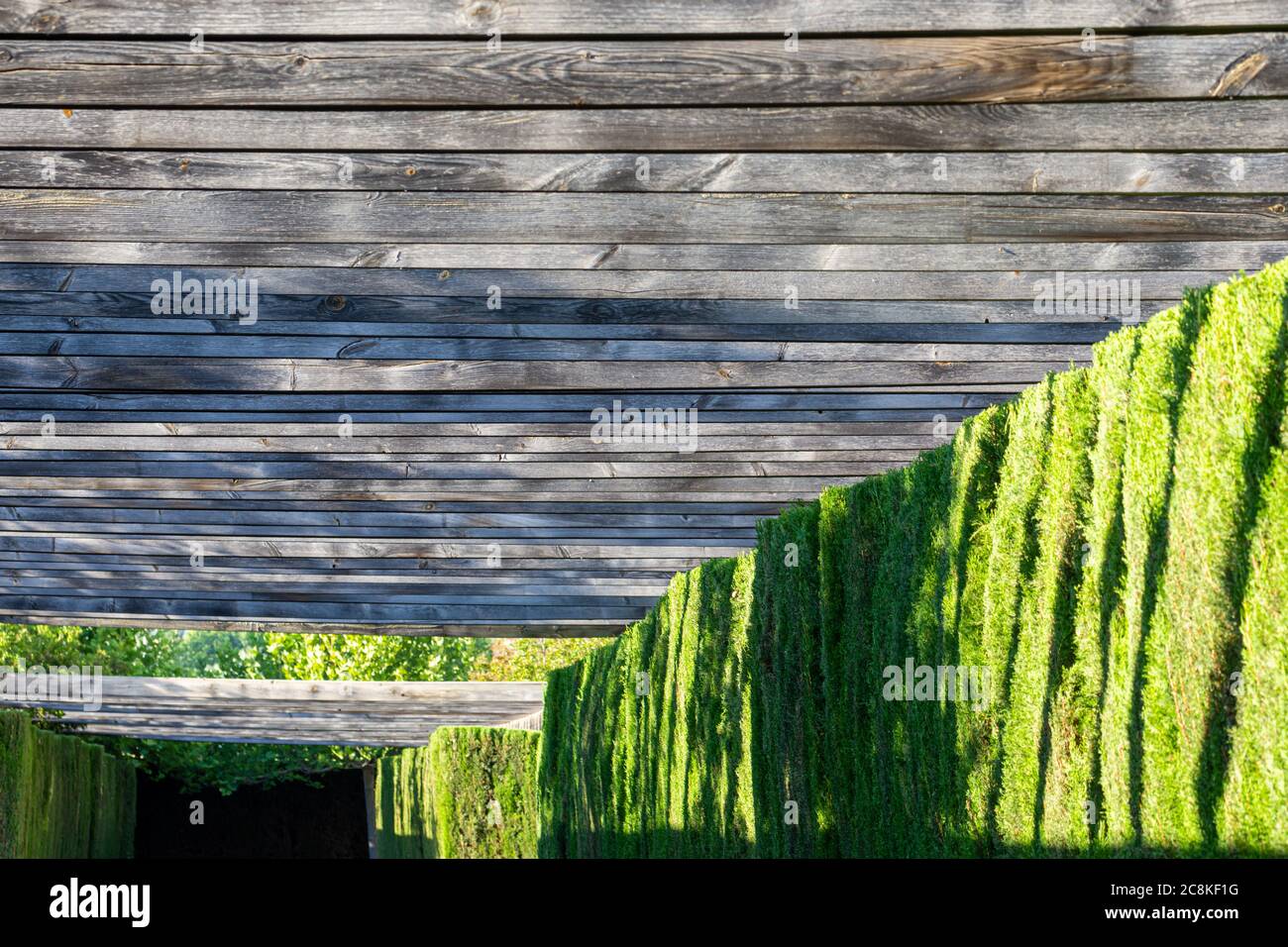 Perspective of a park walk covered with wooden beams and green hedges on the sides Stock Photo
