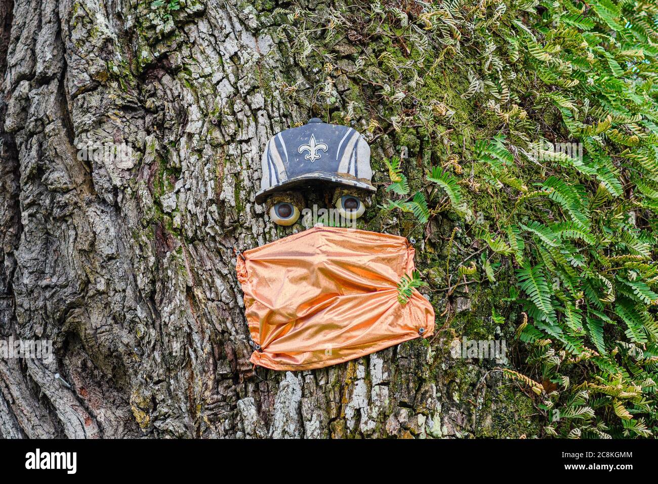 New Orleans, Louisiana/USA - 7/20/2020: Tree Decorated with Face, New Orleans Saints Cap and Face Mask Stock Photo
