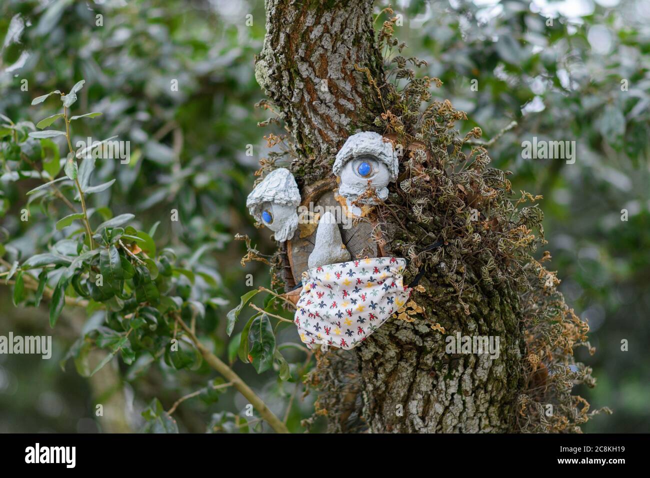 Tree Decorated with Face and Face Mask during Covid-19 Pandemic Stock Photo