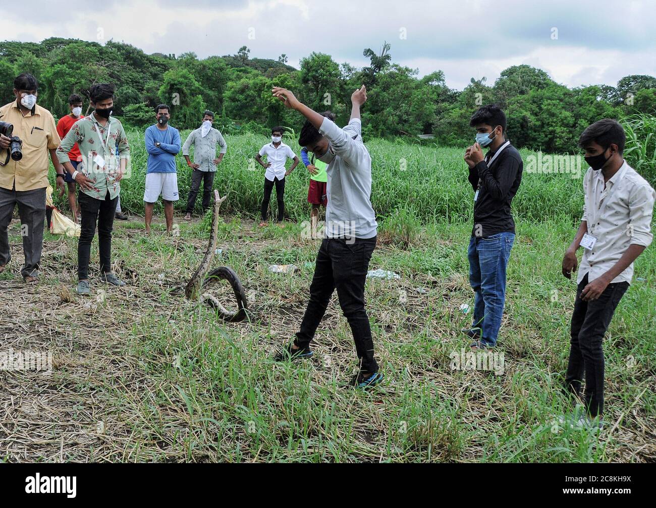 Mumbai, India. 25th July, 2020. Indian rock python tries to attack a ...