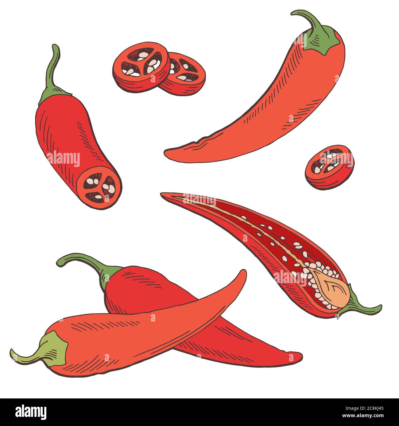 Chili pepper graphic color isolated sketch illustration vector Stock Vector