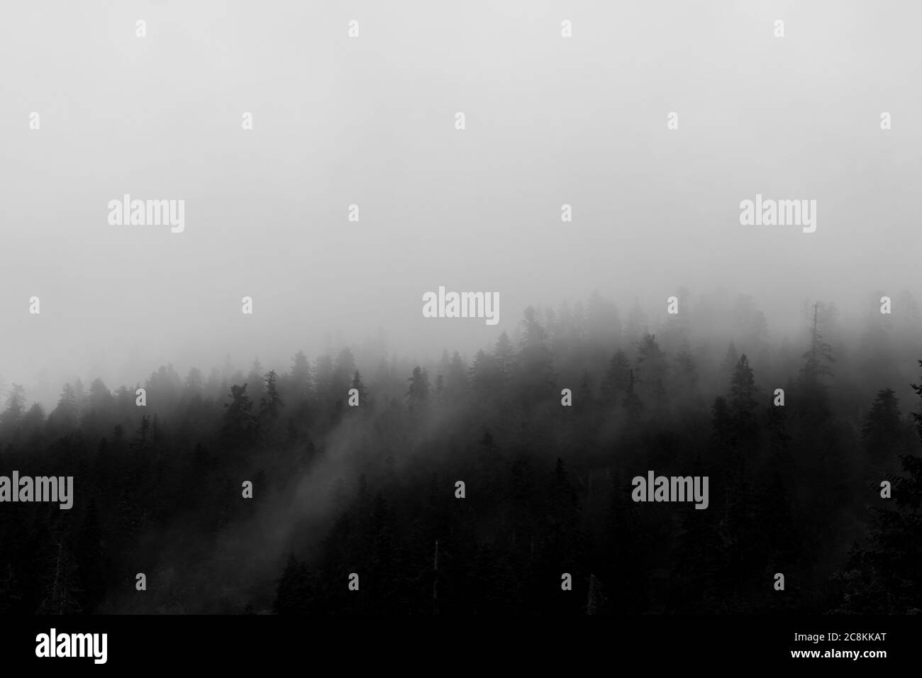 Black Background Fog Ice High Resolution Stock Photography and Images ...