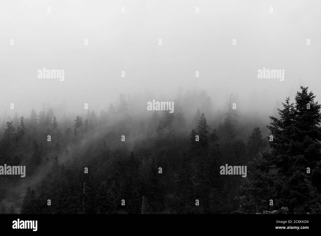 Sky dark black morning mist hi-res stock photography and images - Alamy