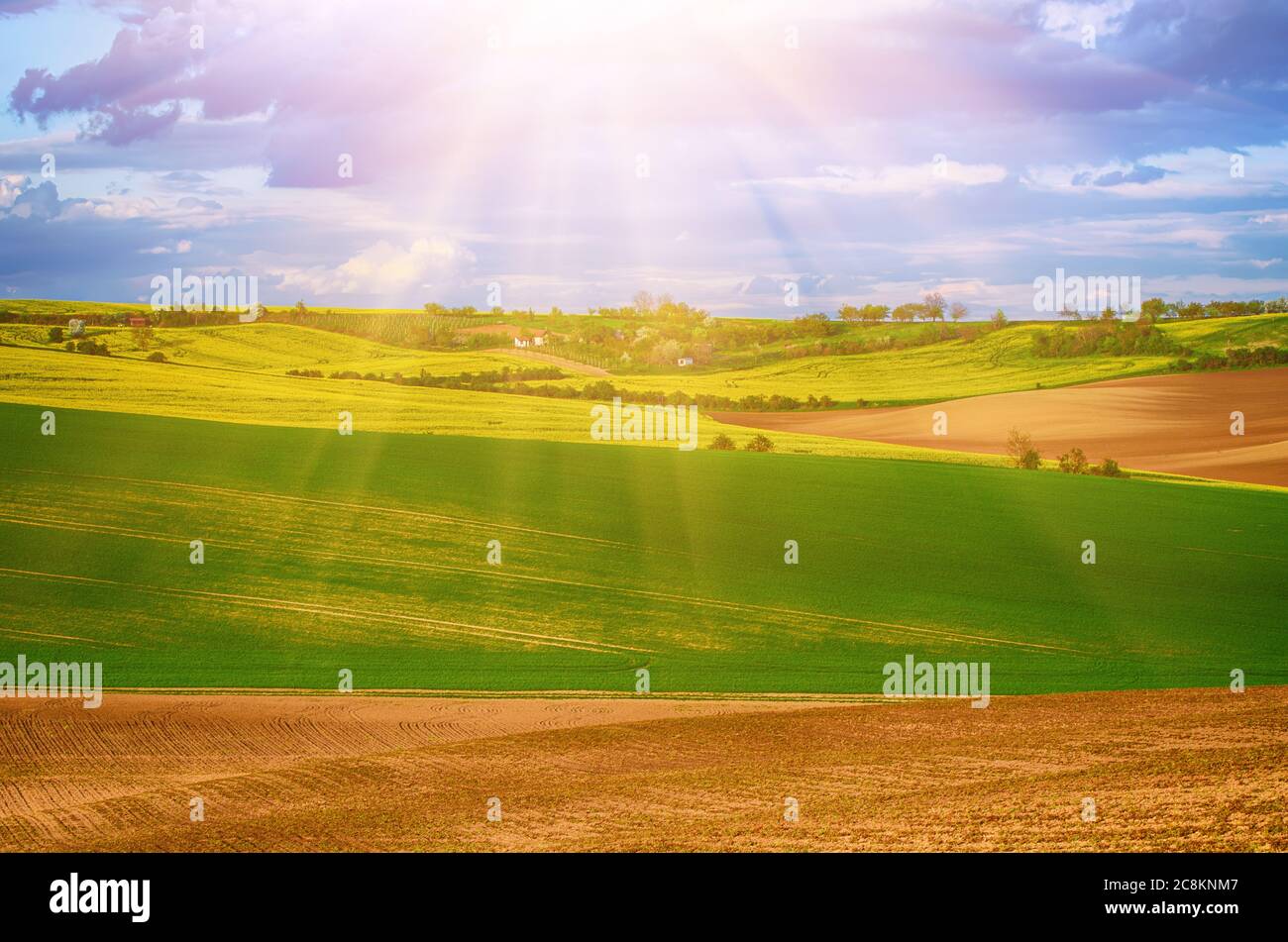 Rural landscape with fields, waves and blue sky with clouds, spring ...