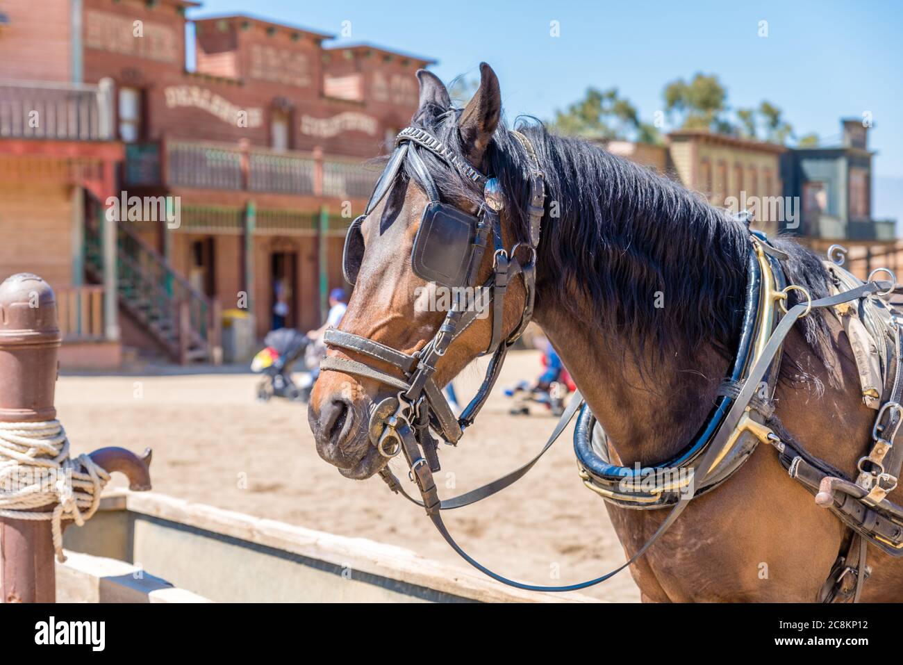 Working heavy horse harness hi-res stock photography and images - Alamy