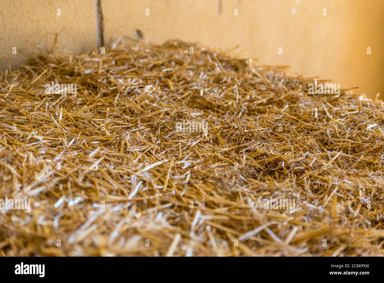 straw for horses in a stable Stock Photo Alamy