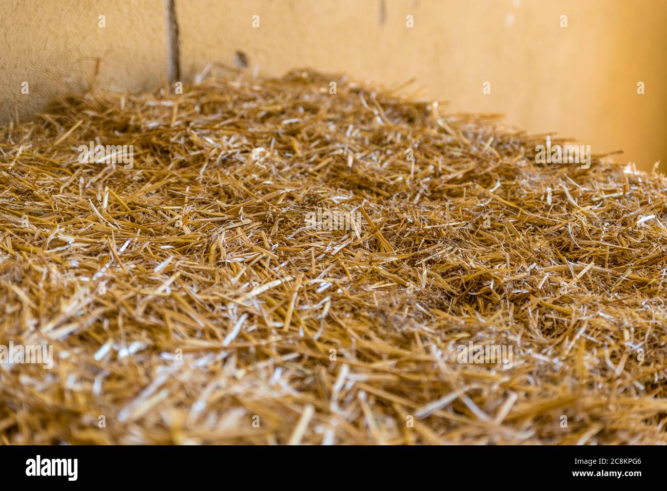 straw for horses in a stable Stock Photo