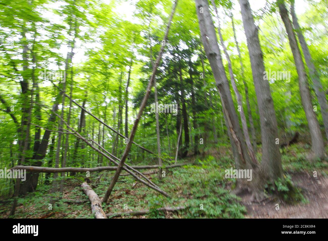 Pyramid Point Hiking Trail, Sleeping Bear Dunes National Lakeshore ...