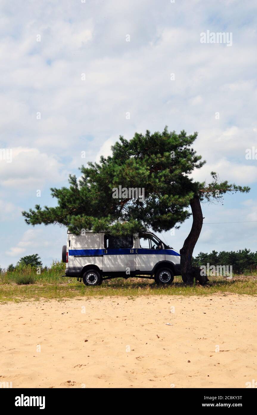 A police van under a lonely pine tree. Stock Photo
