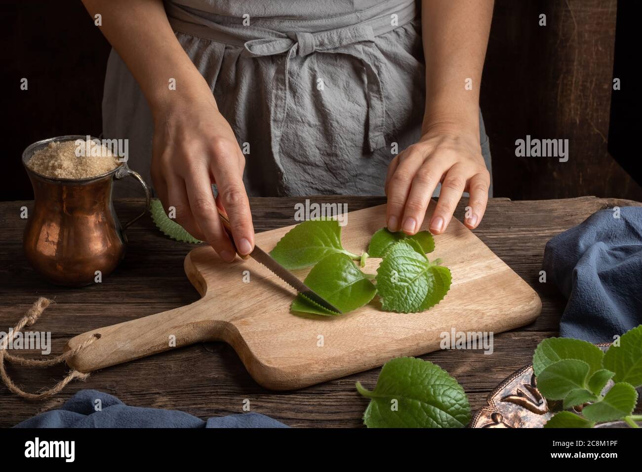 Preparation of a homemade herbal syrup against common cold from silver spurflower and cane sugar - cutting up the leaves Stock Photo