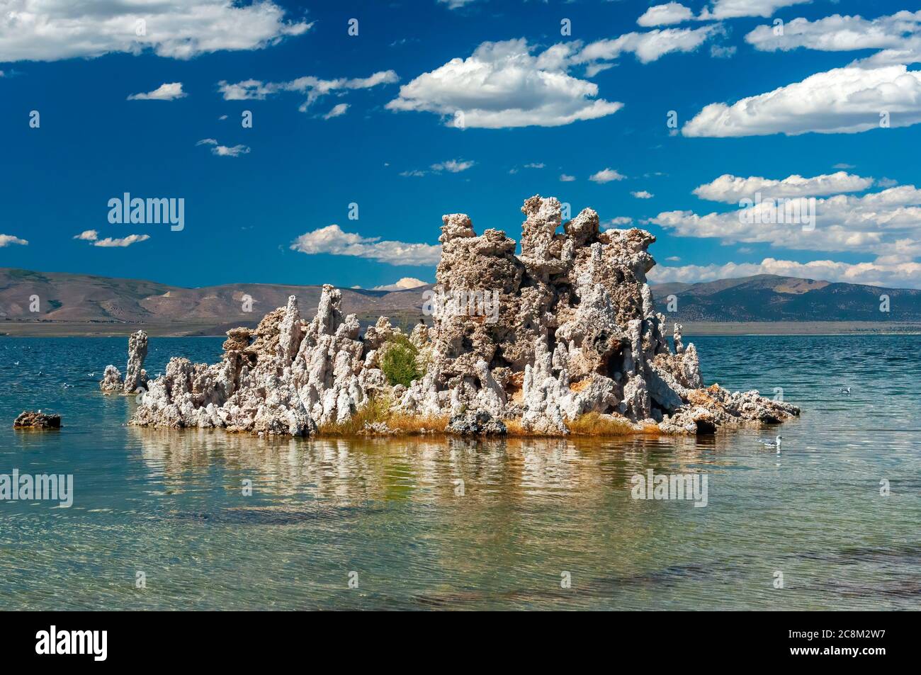 Tufas, hoodoos, bizarre calcareous tufa formation at Mono Lake, California. Stock Photo