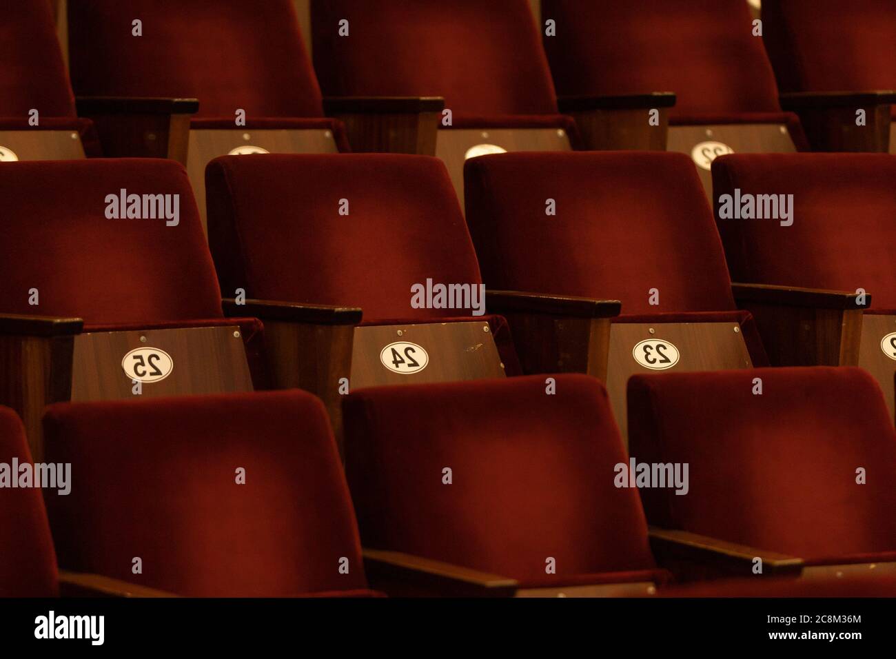 dark red soft velvet chairs in the theater hall Stock Photo Alamy