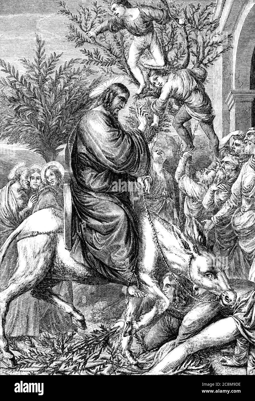 An engraved vintage New Testament Bible illustration image of Jesus Christ entry into Jerusalem, from a Bible dated 1883 that is no longer in copyrigh Stock Photo