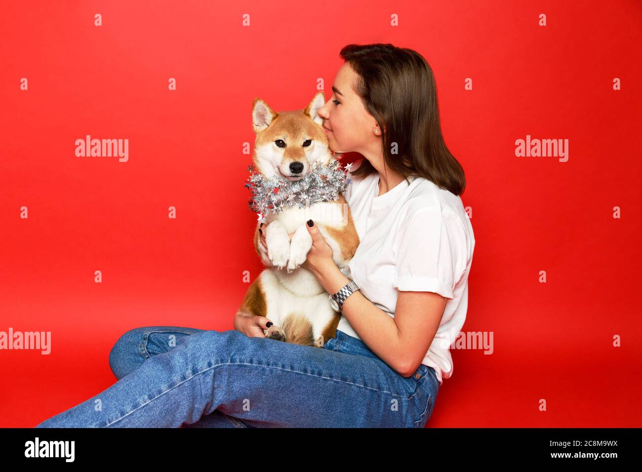 Cute brunette woman in white t shirt and jeans holding and embracing Shiba Inu dog in silver Christmas decorations on plane red background. Love to th Stock Photo