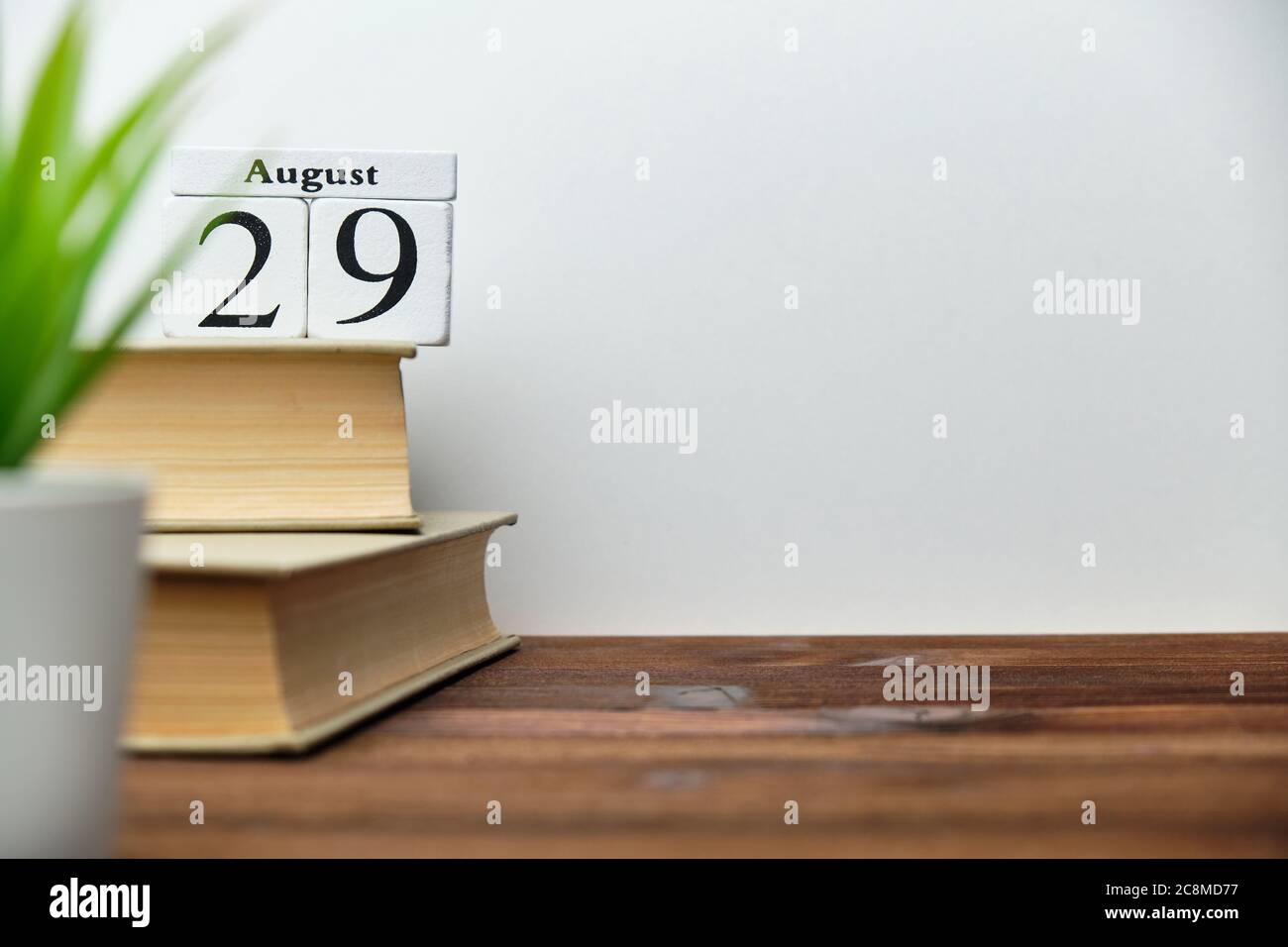 29th august - twenty-ninth day month calendar concept on wooden blocks with copy space Stock Photo