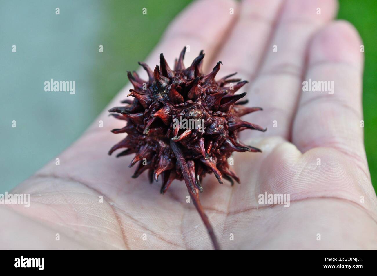 Duronn James Stock Photo