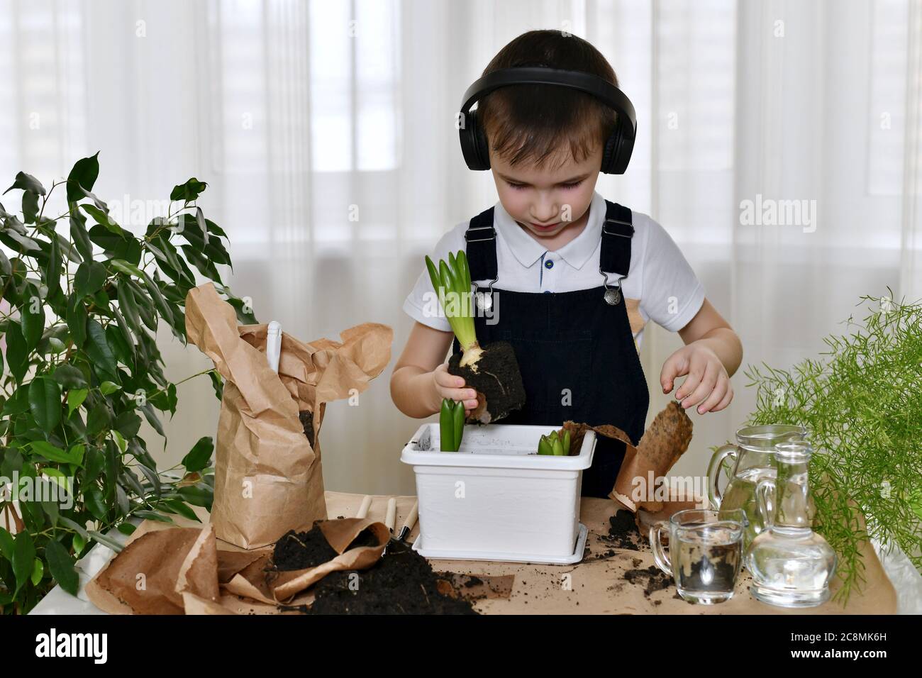 The boy is engaged of hyacinths, independently copes with difficulties during landing. Stock Photo