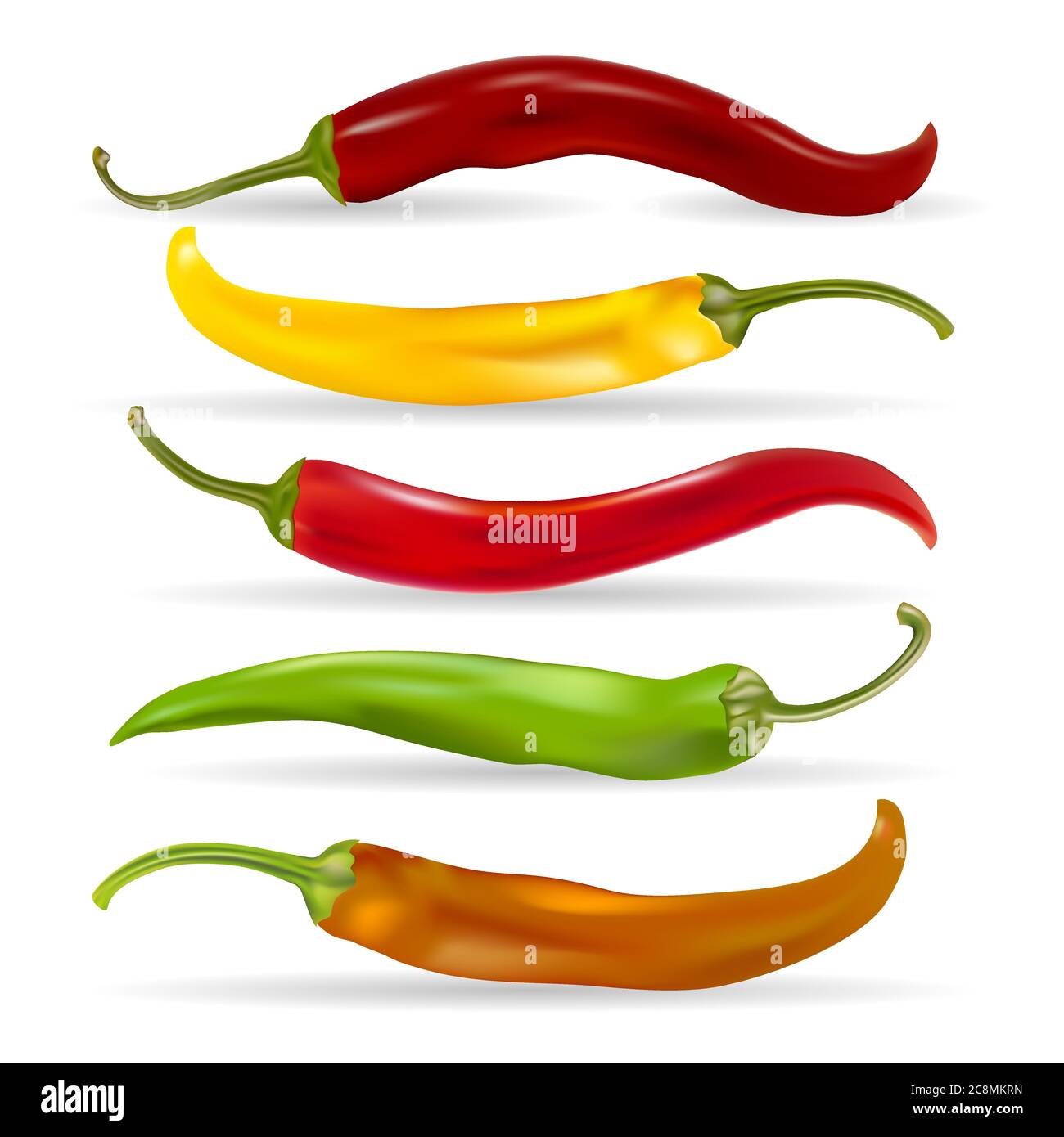 Realistic Detailed Various Hot Chili Pepper Set. Vector illustration. Stock Vector