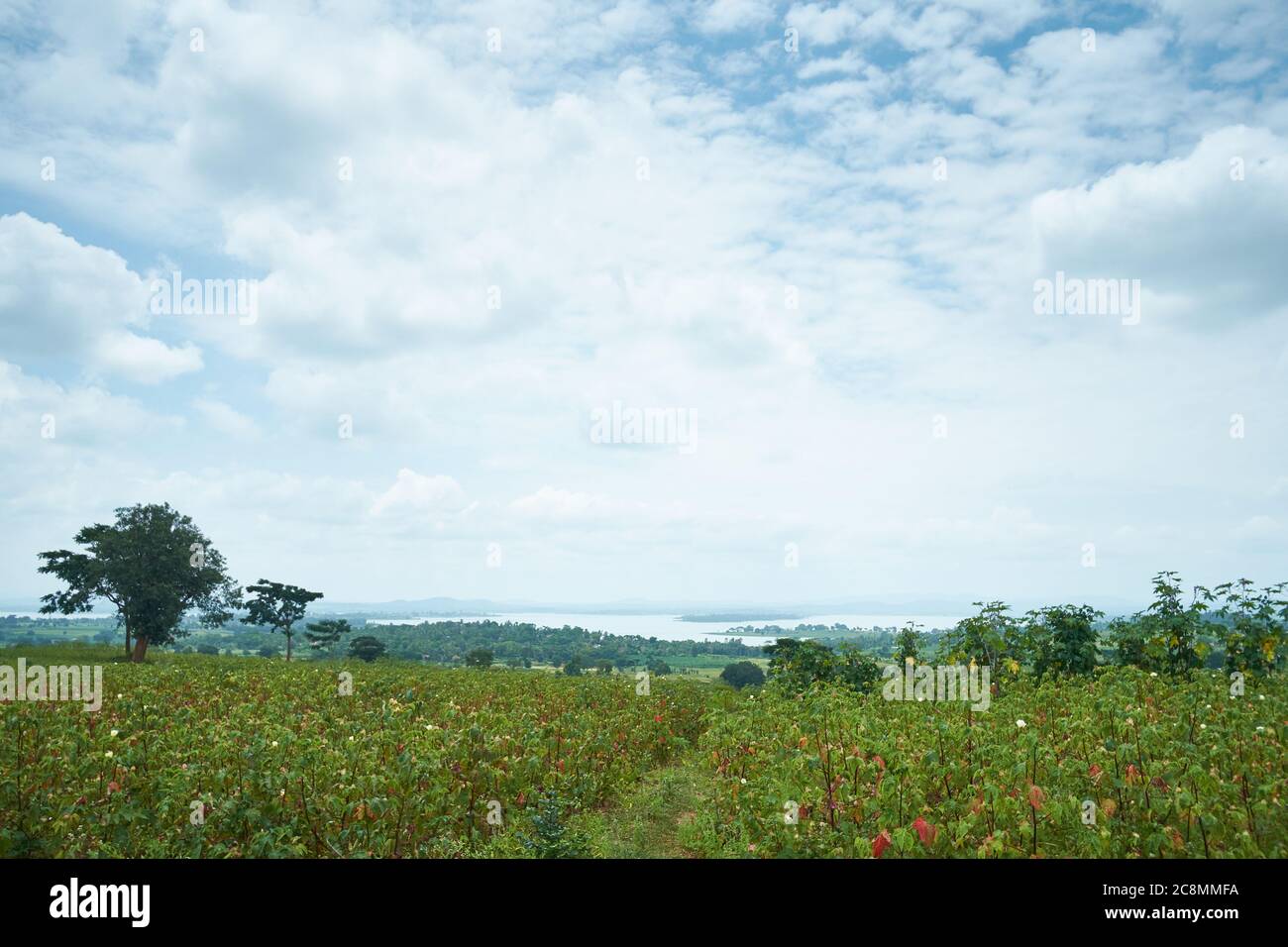 A view of the Kabini Reservoir, Karnataka, India Stock Photo