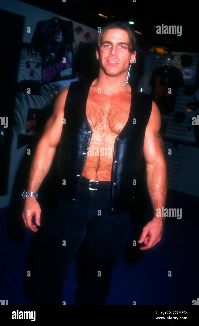 Sean Michaels Telegraph