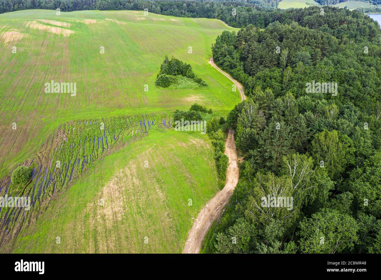 aerial view of rural area with green fields, forest and dirt road in sunny summer day. countryside landscape Stock Photo