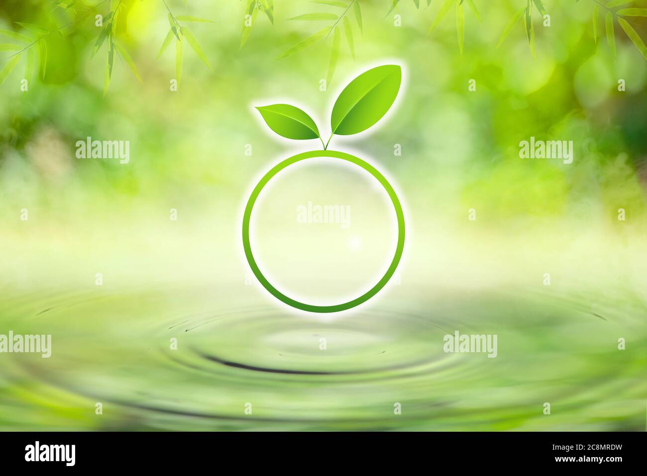 Green leaf circle on drop falling in water with ripples with light green bokeh background. Stock Photo