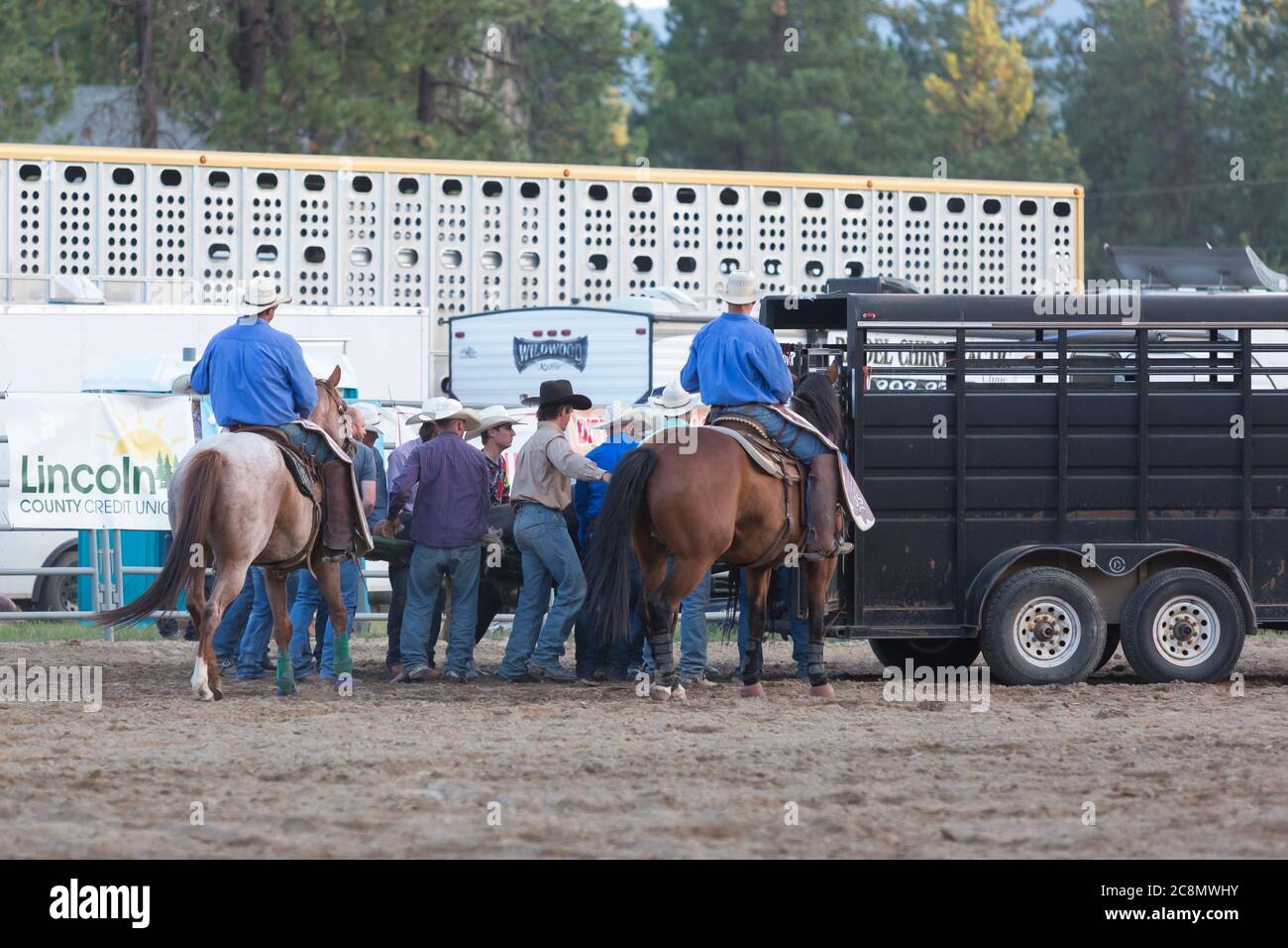 Injured cowboy hires stock photography and images Alamy