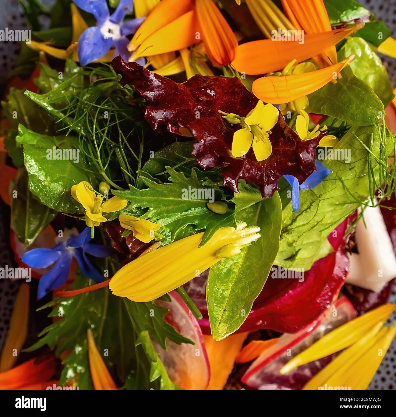 Close up of farmers market garden ingredients on a plate bush food