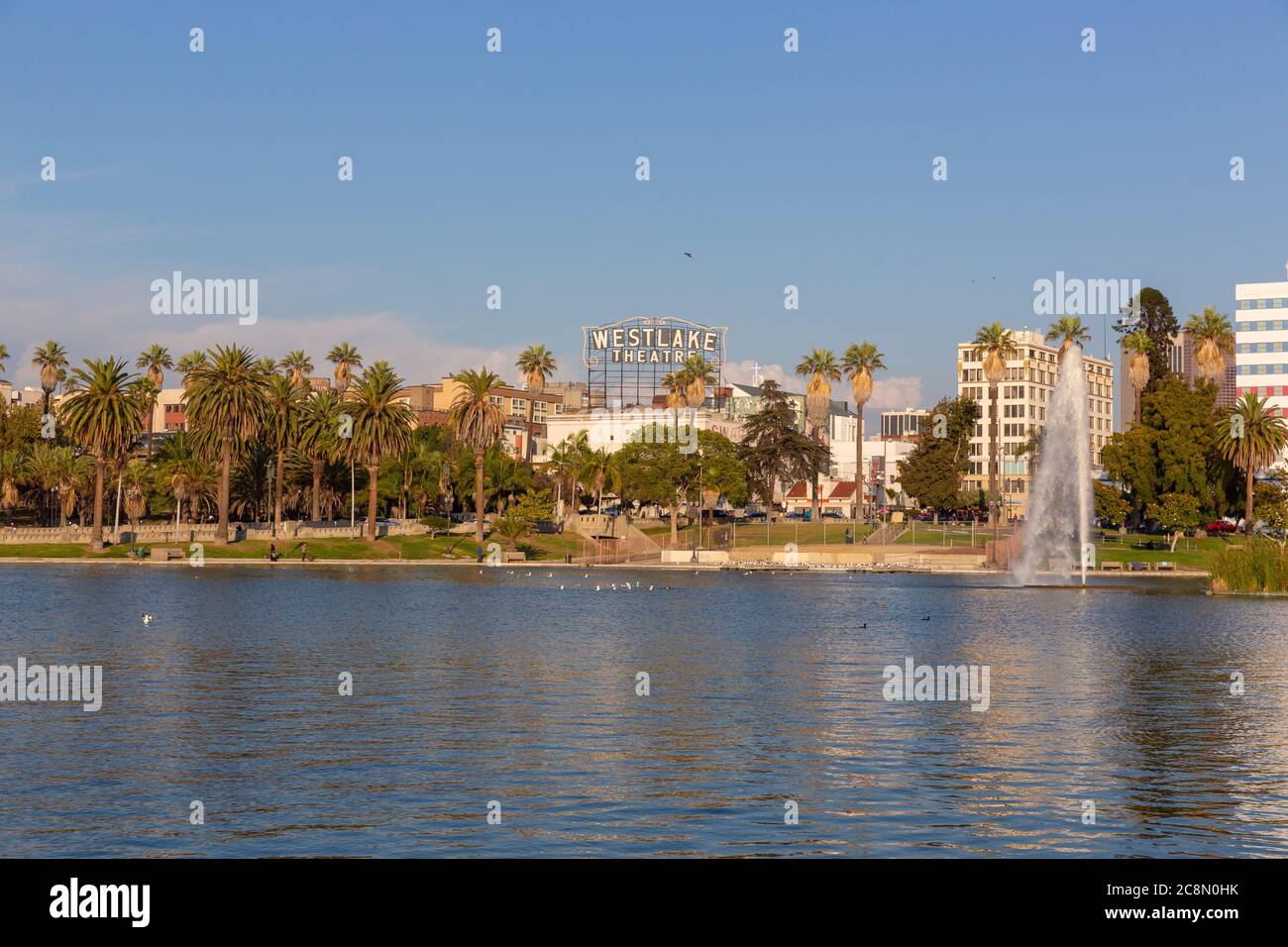 MacArthur Park Lake cityscape, in the Westlake neighborhood of Los Angeles, California. Stock Photo
