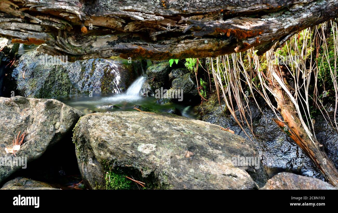 Closeup stream flowing on rocks hi-res stock photography and images - Alamy
