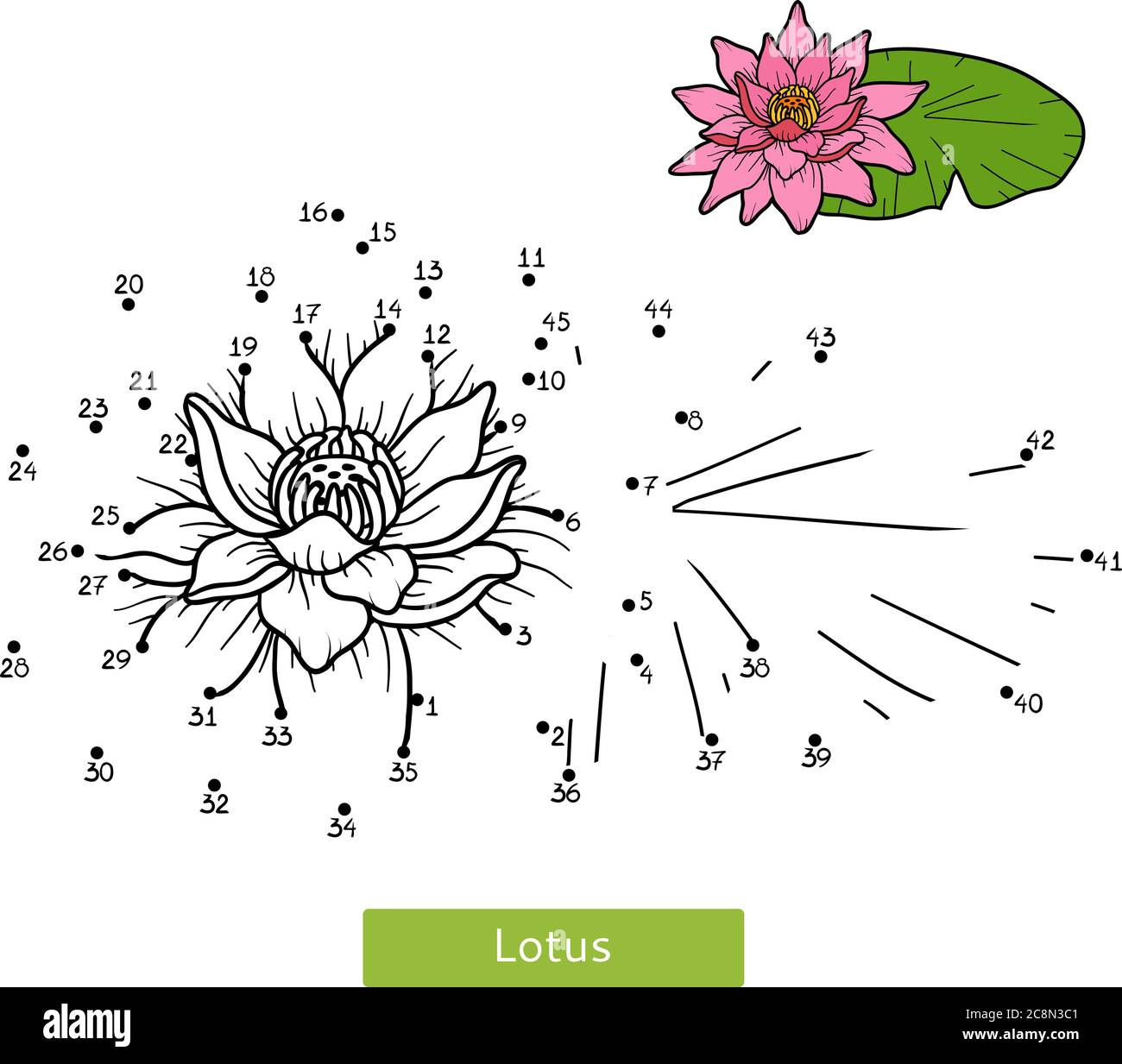 Numbers game, education dot to dot game for children, flower Lotus Stock Vector Image & Art Alamy