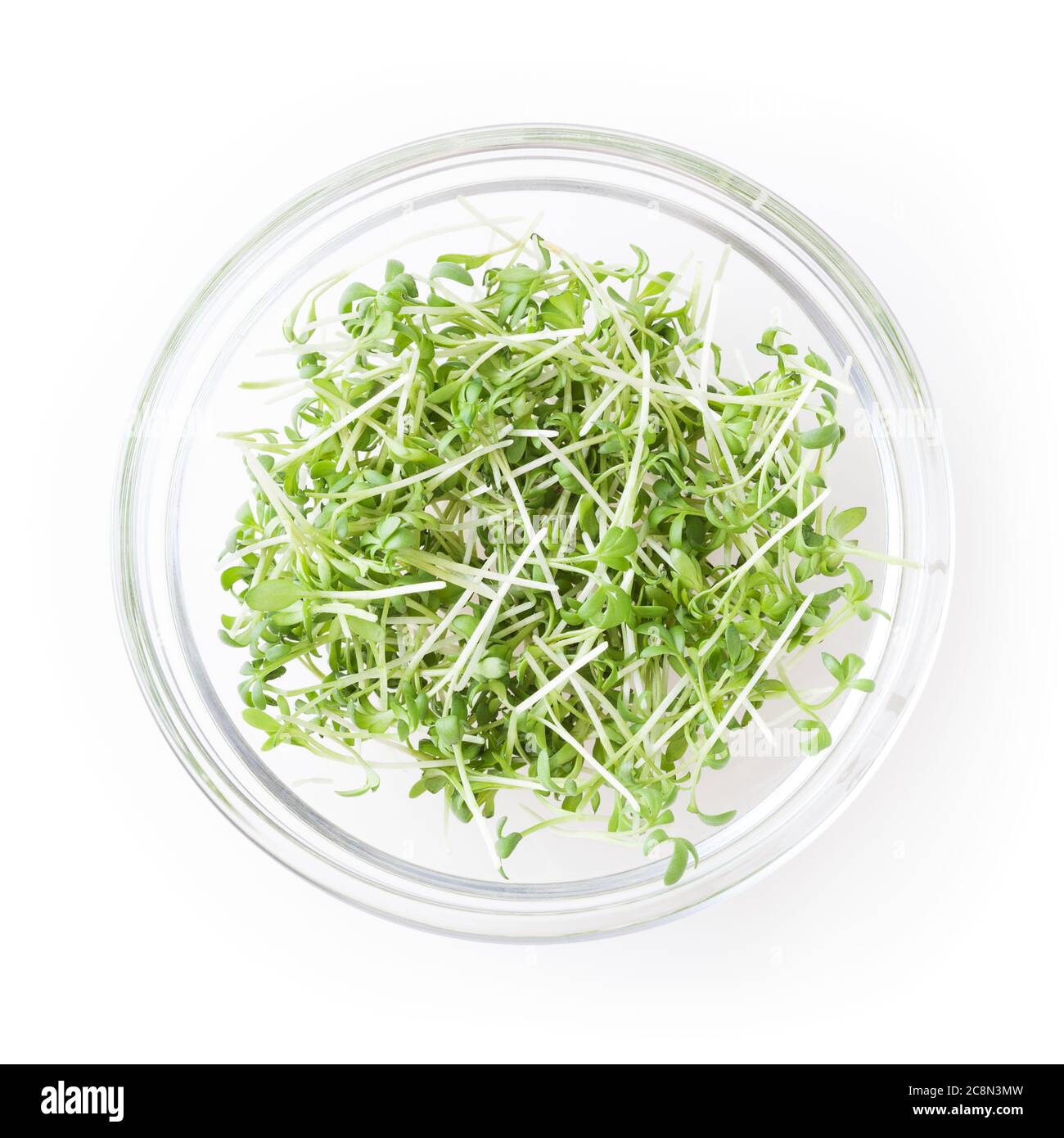 Micro greens garden cress sprouts in glass bowl isolated on white background with clipping path Stock Photo